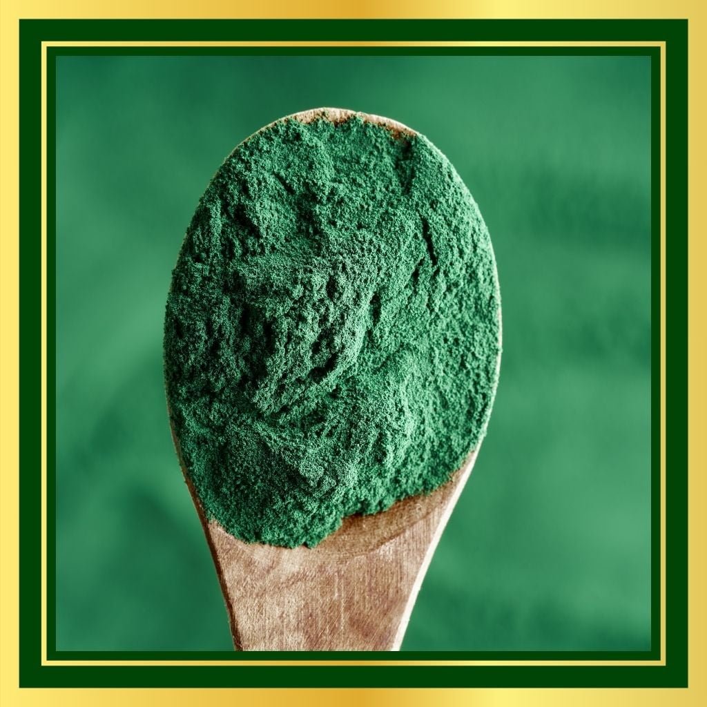 Spirulina Natural