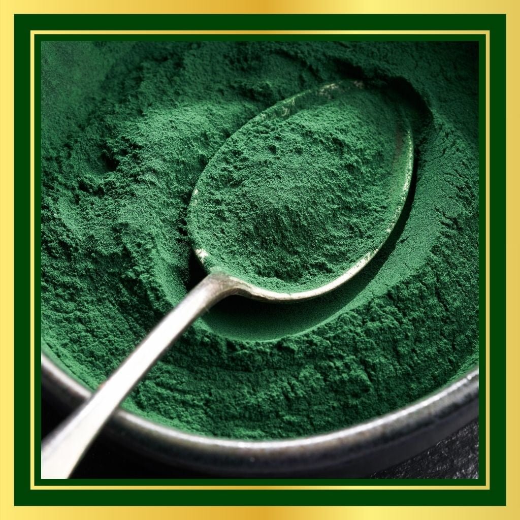 Spirulina Natural