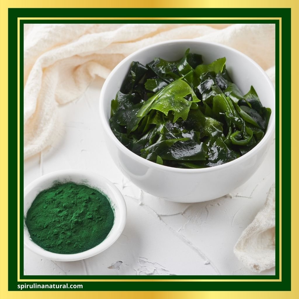 Benefits of Spirulina Powder